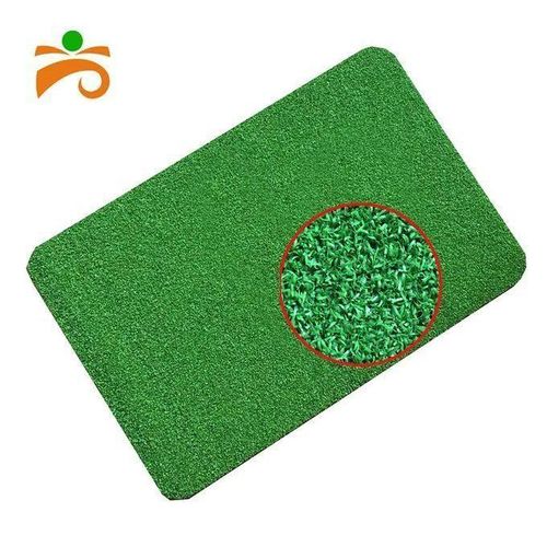 Tapis De Gazon Artificiel, Porte, Maison, Jardin 40*60
