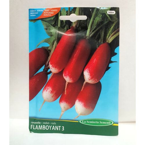 بذور الفجل منتوج إيطالي عالي الجودة