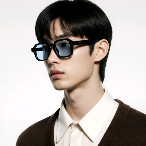 lunettes pour Hommes Rétro à Double Trame et Grand Cadre - Monture en Plastique Haut de Gamme avec Verres Décoratifs