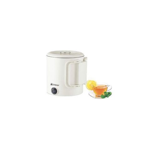 Bouilloire électrique portable intérieur inox