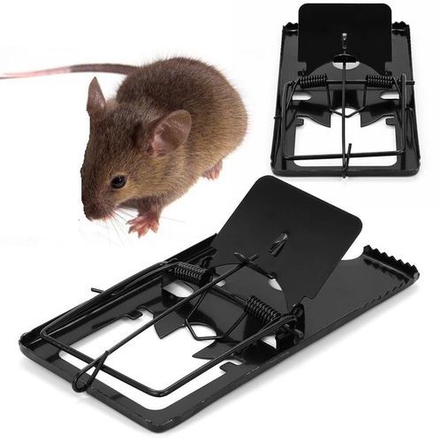 Pige Souris et Rat la Solution efficace pour se dbarrasser des souris