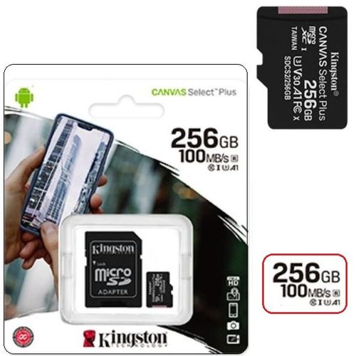 Carte mémoire micro SD capacité 256Gb vitesse 100 Mo/s C10 U1 A1