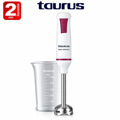 Mixeur Plongeant ROBOT 1000 INOX 1000W - Garantie 2 ans