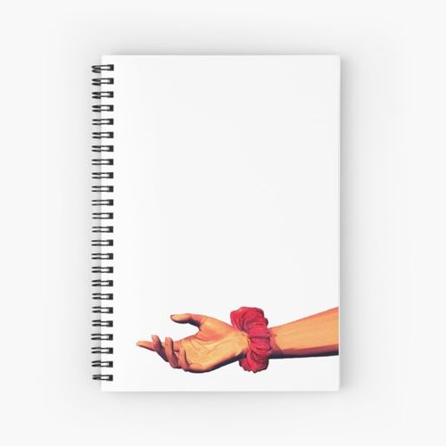 The Fall of the American Teenager Spiral Notebook Bloc note