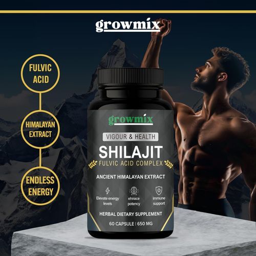 SHILAJIT himalaya 650 Mg 60 Gélules Végétales, Santé Du Cerveau N1