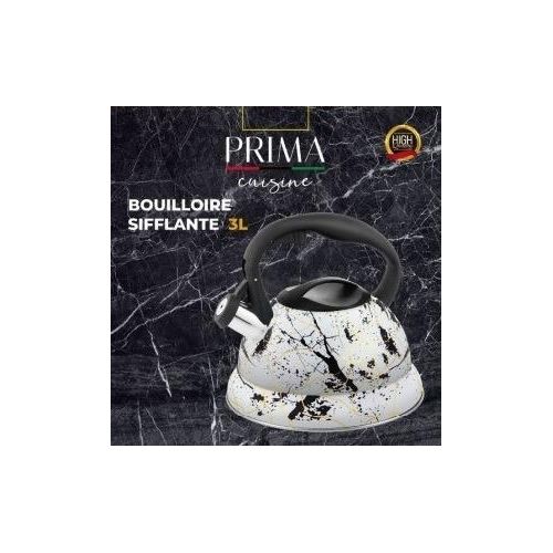 Bouilloire Siffleuse en Acier Inoxydable 3L