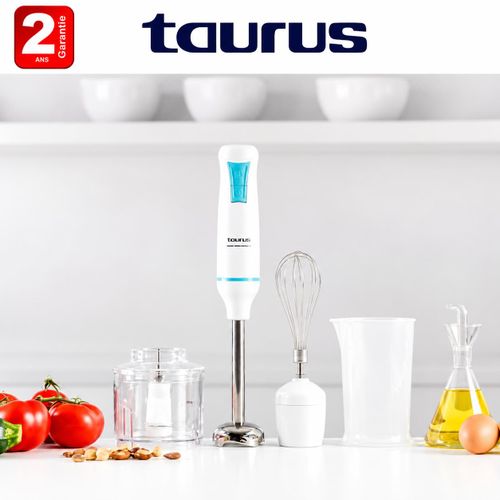 Mixeur plongeant ROBOT 1000 PLUS INOX – 1000 W - Turbo Rotation System -Garantie 2 ans