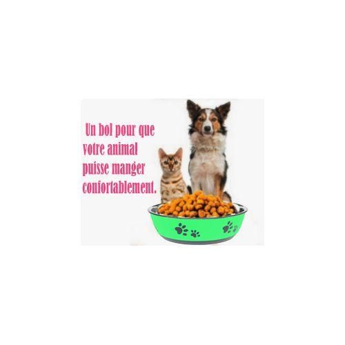 Bol Antidérapant en Acier Inoxydable pour Chiens et Chats – Vert, Idéal pour Nourriture et Eau