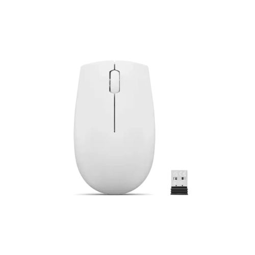 Souris sans fil 300 gris avec batterie
