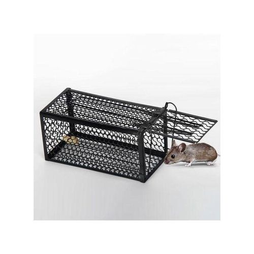 Pige mtallique professionnel pour attraper les rats et les souris Sr et rutilisable