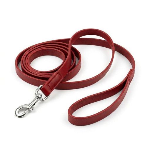 Laisse en Cuir Véritable pour Chien et Chiot - Haute Qualité - Taille S