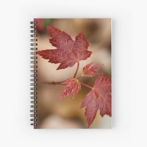 New Spring Maple Leaves Spiral Notebook Bloc note