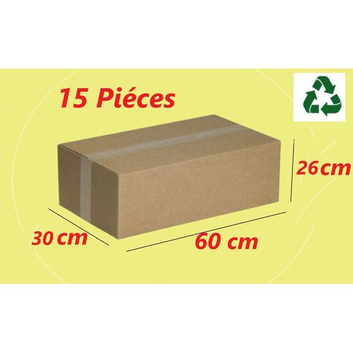 Carton demballage Trs grand Taille Trs dur Double paisseur 15 Pices 60cm30cm260cm