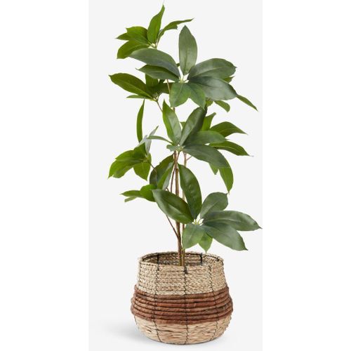 Cache Pot Décoratif en Feuille de Bananier Naturel Ø25xH23cm Style Bohème Élégant pour Plantes Intérieur Extérieur