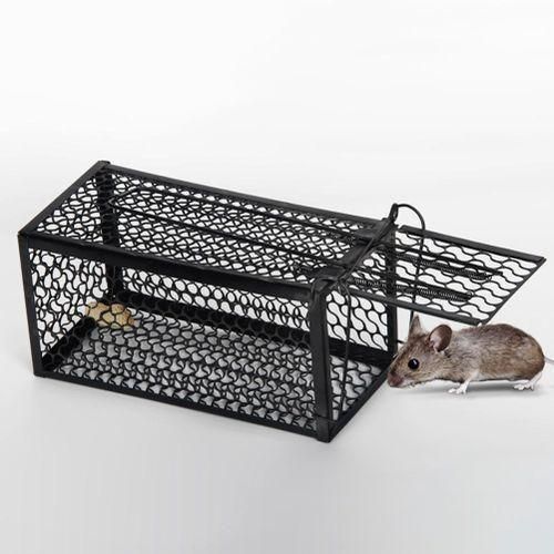 Pige Rats et Souris en Mtal - Cage Anti-Rongeurs Robuste et Rutilisable