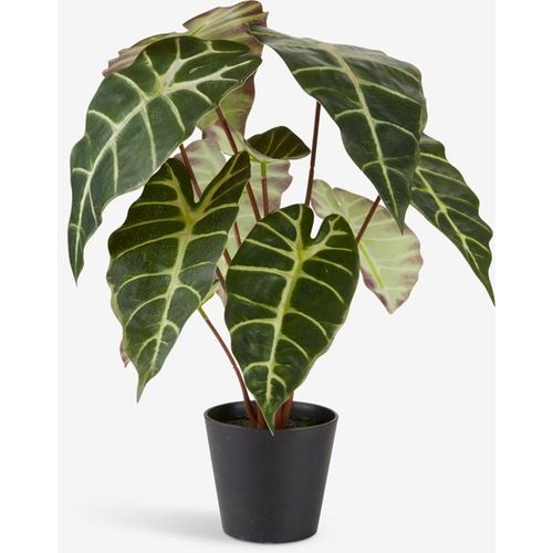 Plante artificielle (Hauteur 42 cm)