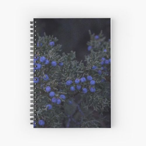 juniper Spiral Notebook Bloc note