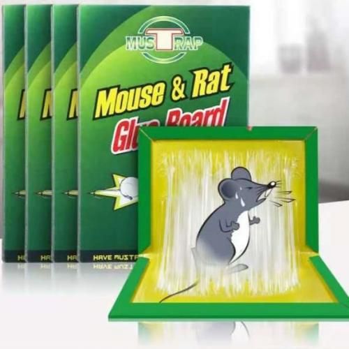 Piège à colle pour souris Panneau de souris, piège à souris collante, rongeur à Rat serpent à haute efficacité