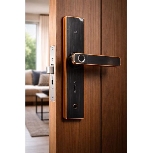 Serrure Porte intelligente