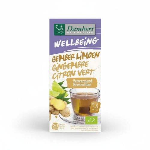 Tisane Bien-être, Gingembre & Citron Vert, Réchauffante, Digestive, Énergisante, 20 Sachets