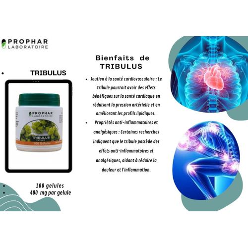TRIBULUS 400 MG _ 100 gélules