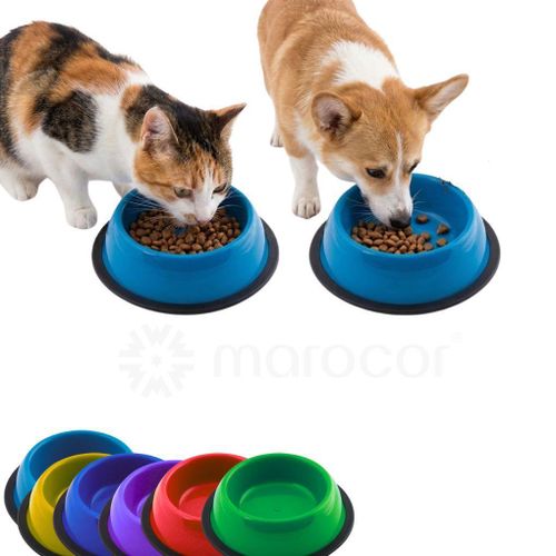 Gamelle ergonomique surélevée antidérapante pour chien et chat (couleur aléatoire)
