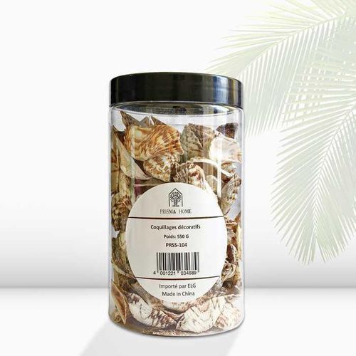 COQUILLAGES DÉCORATIFS 550G
