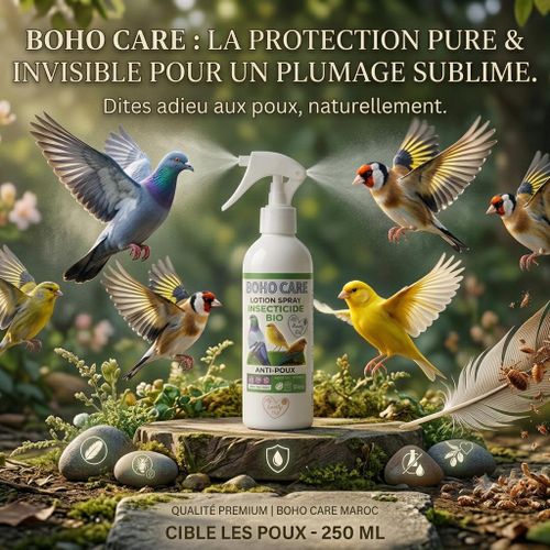 BOHO CARE Spray Anti-Poux Naturel pour Oiseaux 250ml - Protection Pure & Invisible - Soin du Plumage Sublime (Canaris, Pigeons, Chardonnerets, Perruches)s.
