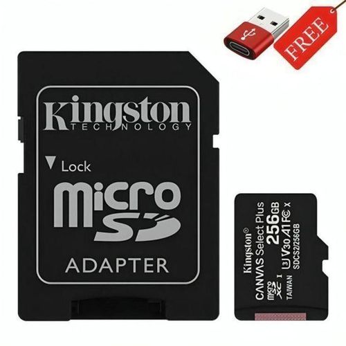 Kingston Carte Mémoire 256GB + Adaptateur USB OTG GRATUIT