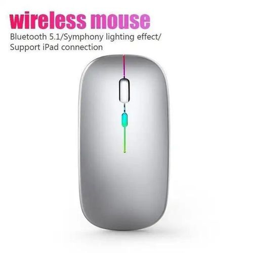 Souris sans fil double Mode de connexion Bluetooth et 2.4G Portable et silencieux DPI réglable 600mAh Rechargeable RGB lumineuse Micro USB souris portables pour tablette téléphone ordinateur PC portable IPad tablette Smart TV GRIS