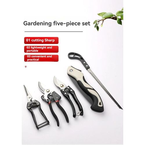 Ensemble de 5 Outils de Jardinage – Scie Pliante, Sécateur et Kit de Taille pour Plantation, Coupe et Entretien des Fleurs, Plantes et Petits Jardins
