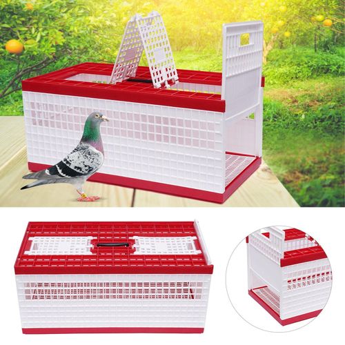 Panier de Transport de Pigeons et Oiseaux - Cage Pliable en Plastique