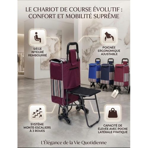 Chariot de Course Évolutif 3 Roues avec Siège Intégré & Poignée Ajustable