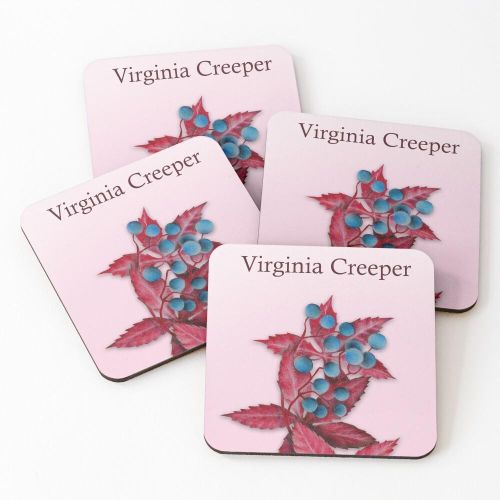 4 Dessous de Verre Vigne vierge sous tasse unique