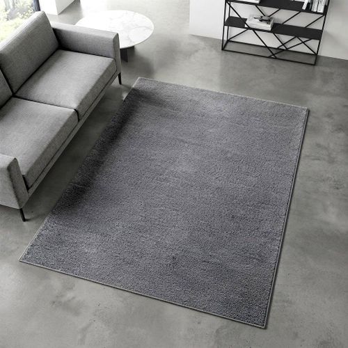 Tapis de Salon gris 200x150 cm – Tapis Moderne Doux, Moquette pour Salon, Chambre Bureau