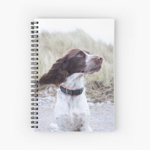 English Springer Spaniel Spiral Notebook Bloc note