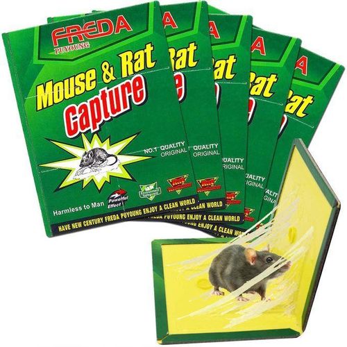 pack de 10 Piège à Souris et Rats Ultra-Adhésif – Plaque Collante Sans Poison – Capture Efficace