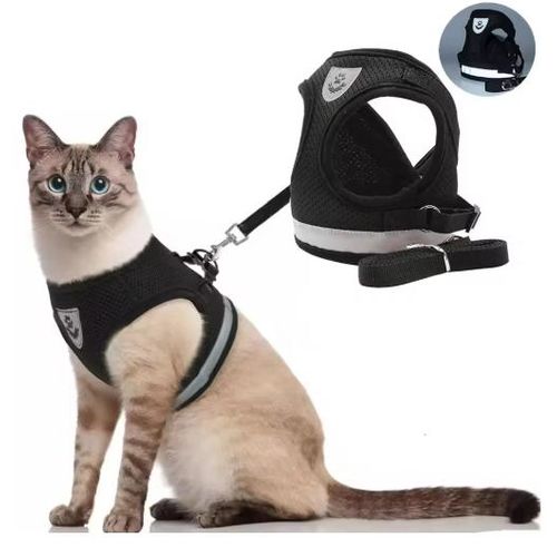 Harnai Gilet M pour Chat et Petit Chien avec Laisse – Maille Respirante Réfléchissante