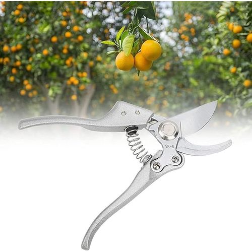 Ciseaux Floraux de Qualit Suprieure pour un Jardin panoui