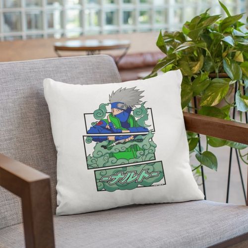 Petits Coussins Décoratifs : Coussin anime carton