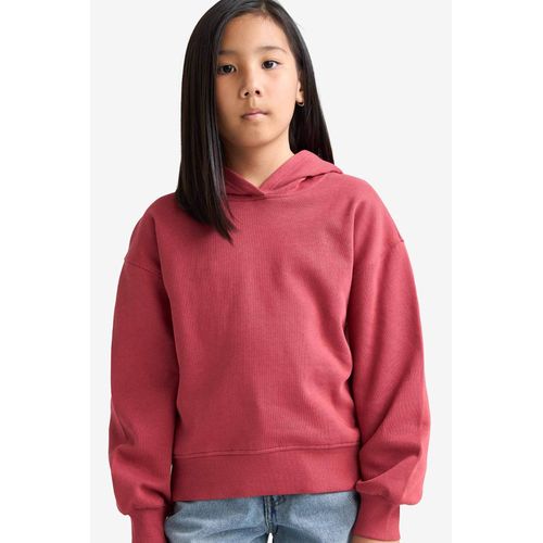 Sweat- Shirt Tissu Sweat pais Coupe dcontracte capuche Anime