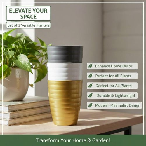 Transformez chaque coin de votre maison en oasis verte
