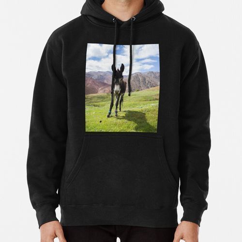 قبية حمار مغربي