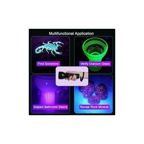 Lampe de poche UV très brillante détecteur de scorpion