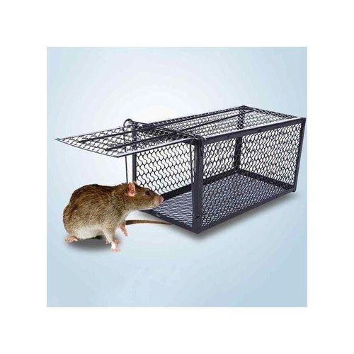 Piège à rat cage métallique capture vivante