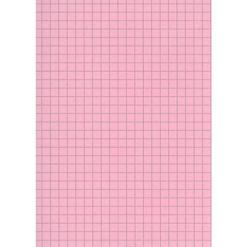 100 FICHES BRISTOL 10233E NON PERFORÉES ROSES 12,5X20CM