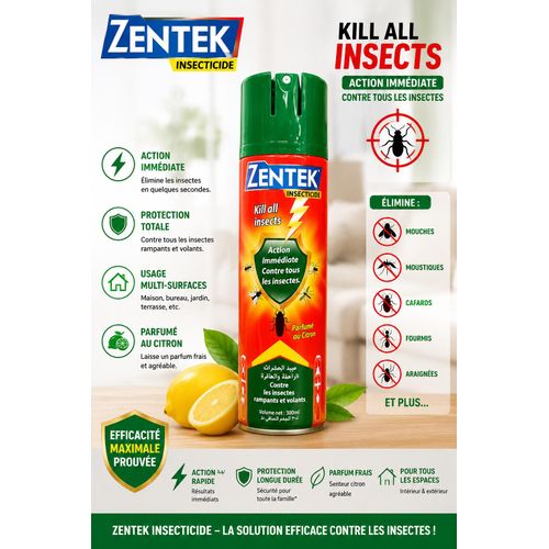 Insecticide aerosol tous insectes 400ml -