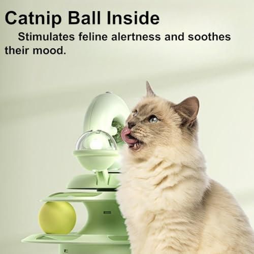 LAttraction Idéale pour les Chats Curieux