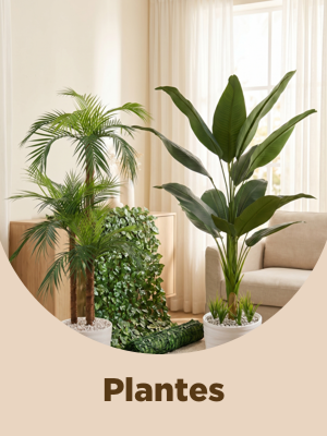 Plantes