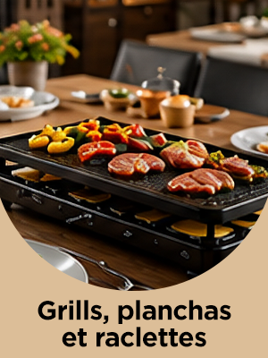 Grills, planchas et racle